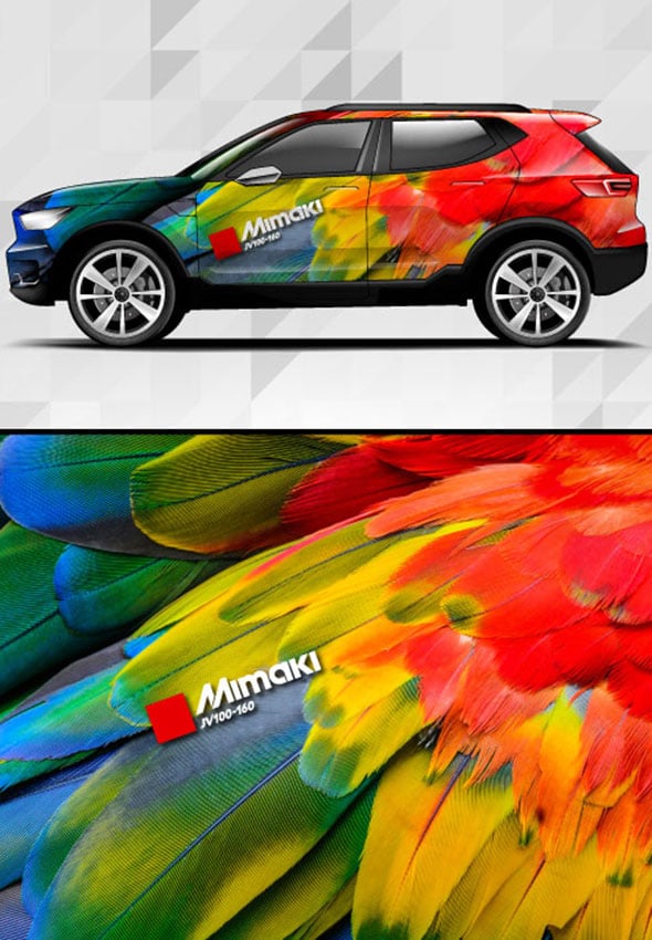 Application_Carwrap-parrot_590x850